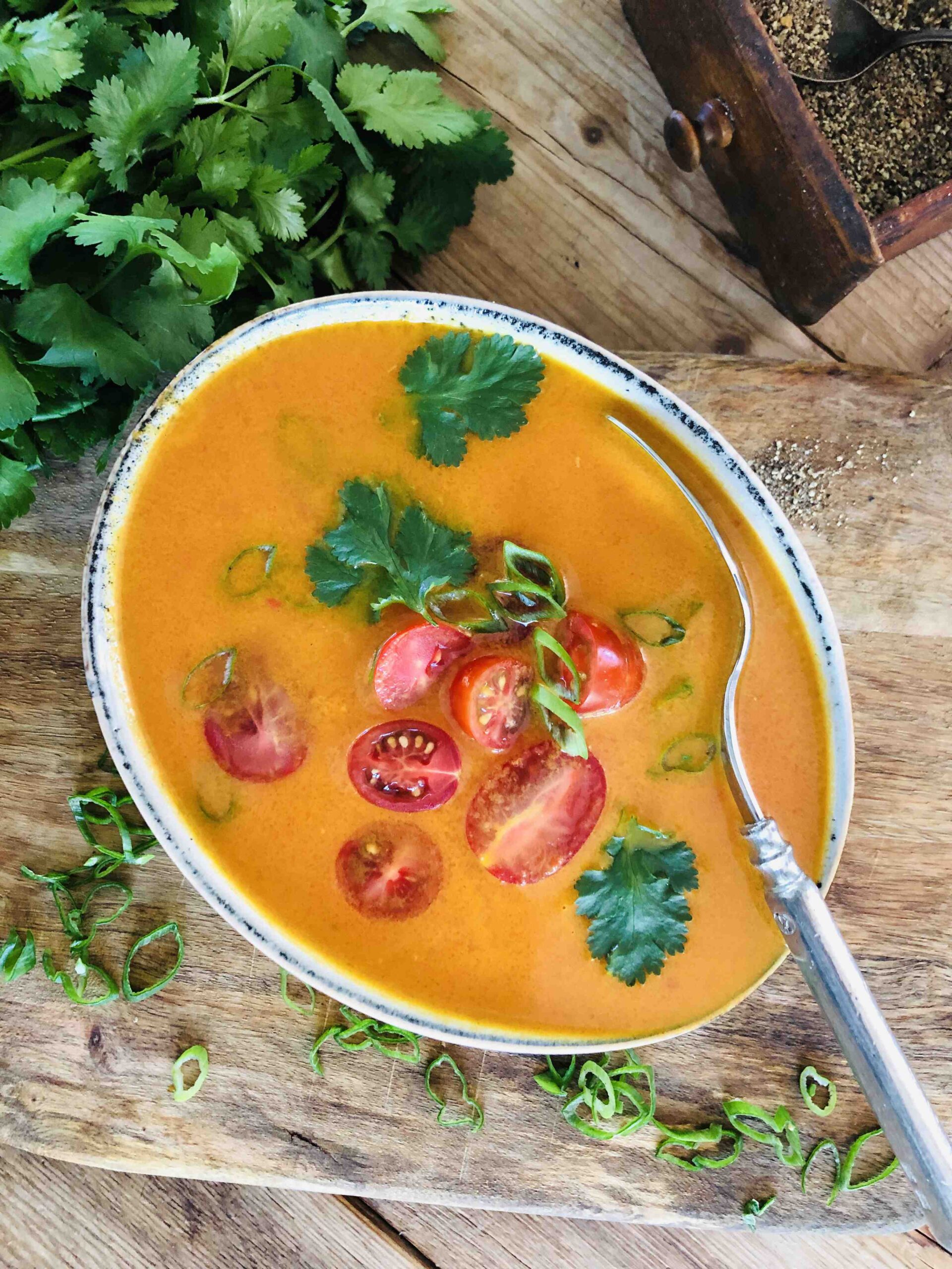 Tomaten-Kokos-Suppe